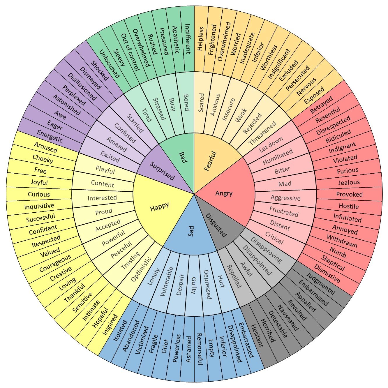 A "feelings wheel" that specifies feelings stemming from anger, disgust, sadness, happiness, surprise, bad and fear.